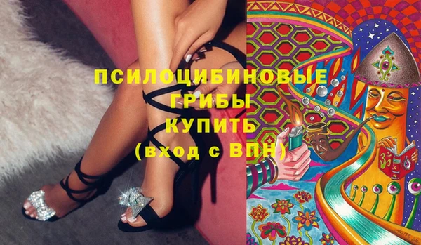гидра Медногорск