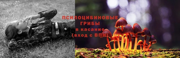 гидра Медногорск